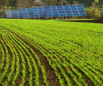 Agricultural Solar